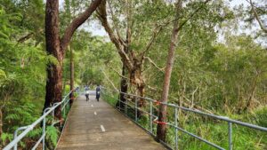 The long boardwalk over the significant Belmont Wetlands [2024]