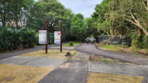 Vegetation is taking over the former terminus at Belmont [2024]