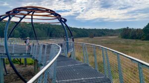 To a lookout over the Belmont Lagoon wetlands which is a real feature. [K Beard 2024]