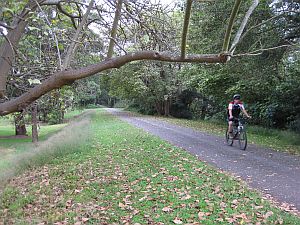 Glendale to Wallsend Rail Trail Opening