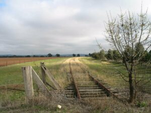 A section of the disused rail corridor near Forest Hill