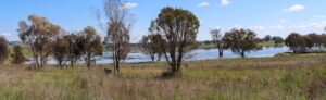 Lake near Boorowa [2023]