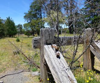 First Rail Trail Legislation in NSW at Last