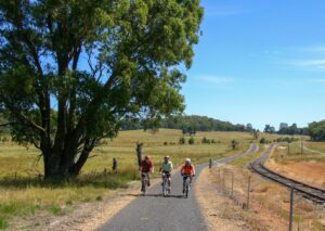 Never mind the chat, watch out for the photographer [2009]