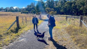 Bribery on open display within this group near Oberon [2025]