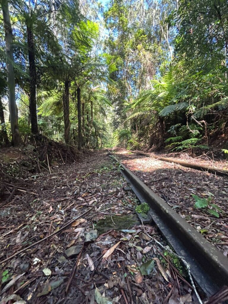 Tallowood Mountain Rail Trail