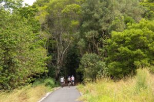 Entering another tunnel of trees at Burringbar [2023]