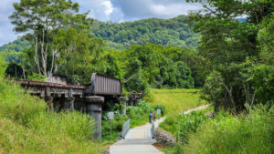 One of several large bridges at Upper Burringbar that have a low-level crossing to allow their true size to be appreciated [2023]