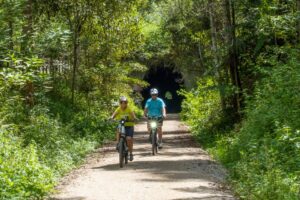 The 545 m Burringbar Tunnel between Burringbar and Murwillumbah. Remember to take a light and don't scare the bats! [2023]