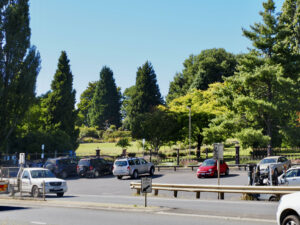 The lower entry to the Botanical Gardens is just across the road from the Cycleway. 2022