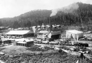 Powelltown in its heyday with the mill office in the foreground