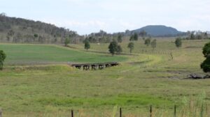 Typical scenery between Esk and Ottaba. (2012)