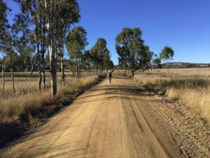 Tranquillity walking between Ottaba and Toogoolawah [2020 Karen Davidson]