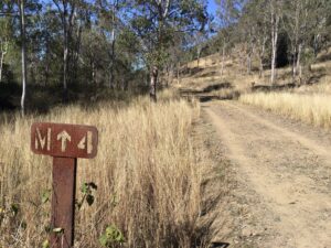 The trail between Moore and Linville [Karen Davidson, 2020]