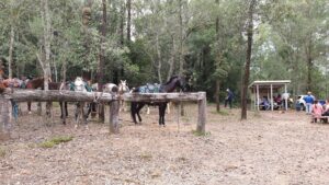 Horse stabling area between Linville and Benarkin [2019]
