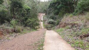 There are quite a few steep low-level crossings between Linville and Benarkin. Take care when slippery. [2019]