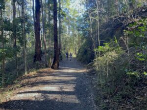 Heading through one of the cuttings on the resurfaced trail [2025]
