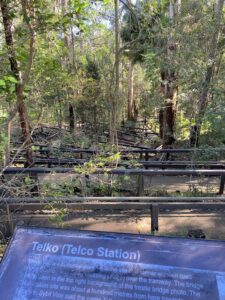 The elaborate zig zag down to the railway corridor [2025]