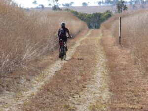 Heading south from Goomeri towards Kilkivan on freshly mowed trail [2018]