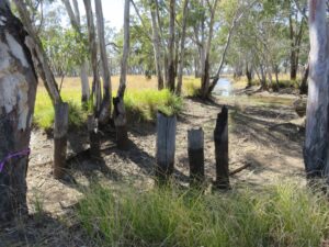 Blue Lagoon Bridge remnants