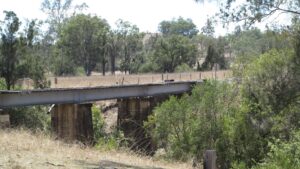 Typical scenery between Monto and Kalpowar [2018]