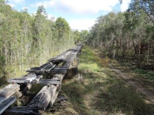 The longest old timber railway bridge between Colton and Takura with the low level bypass on the right [2023]
