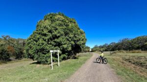 The former Walligan station site [2025]