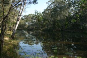 The lagoon near Stockyard Creek that was used to water the steam engines [2007]