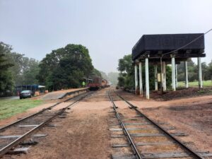 Another view of Platypus Park [2021]