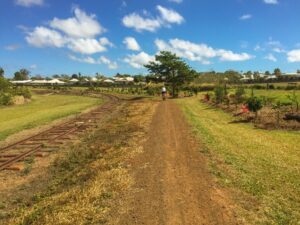 The railside trail on the way out of Atherton [2020]