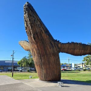 Whale artwork at Pialba [2025]