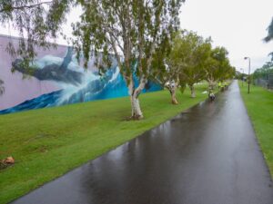Whale mural at Pialba, it does rain there, [2022]
