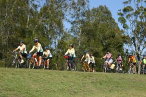 The high standard of the Hervey Bay section makes the trail accessible to all members of the community (2007)