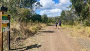 Micro bat nests are apparently a thing along the rail trail [2024]