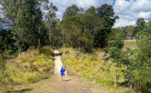 Western Creek low-level crossing does the job most of the time [2024]
