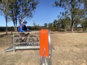 Orange markers go with the fruit at Mt Debateable Station site [2025]