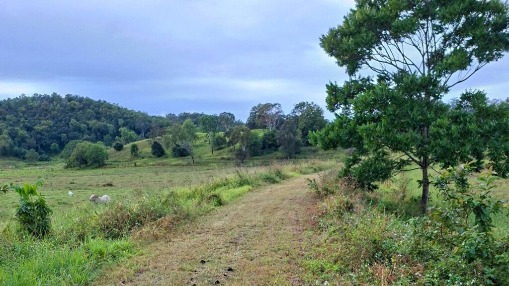 Pioneer Valley Rail Trail