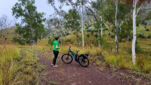 A gully of marvellous grass trees at the bottom of the range [2023]