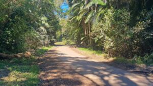 Picturesque Griffins Road between Gargett and Finch Hatton [Sharon Janssen 2025]
