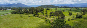 Aerial view of the trail between Benholme and Gargett [2023]