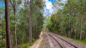 Typical railside trail between Atherton and Hasties Rd on the way to Herberton [2024].