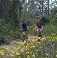 Munda Biddi Trail User Survey