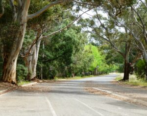 Trail uses a section of First Ave [2020]
