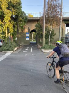 Heading under the tram bridge towards Forestville Reserve [2025]