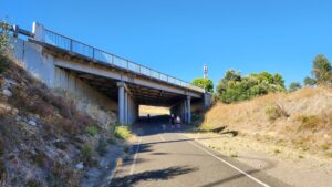 After crossing over the Southern Expressway, you go under Reynella Bypass Rd [2024]