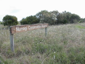 Early days at the Nurragi Conservation Reserve [2006]