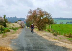 Colourful blossoms south of Auburn in late winter [2021]