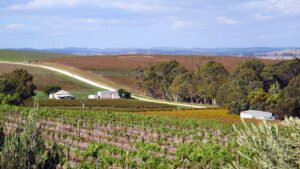 More of the scenery near Leasingham with wind turbines in the background [2015]