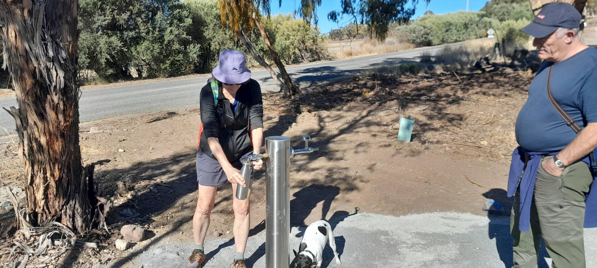 S20-300 Watervale 2025 drinking fountain visitor and dog