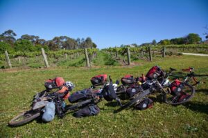 At Stephen John Winery, not far from Auburn [Alex Thompson, 2014]